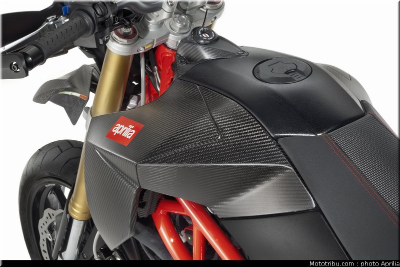 aprilia_750_dorsoduro_factory_1_2010