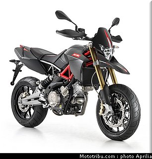 aprilia_750_dorsoduro_factory_4_2010.jpg