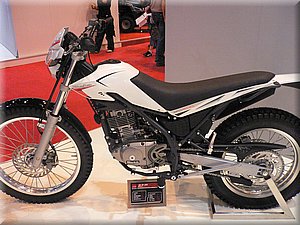 beta-mondial2007-003.JPG