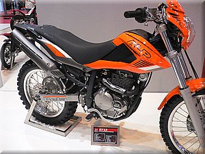 beta-mondial2007-011.JPG