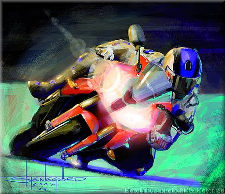 bmw_s1000_rr_7.JPG