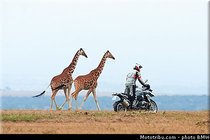 action_002_bmw_r_1200_gs_2013.jpg