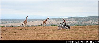 action_008_bmw_r_1200_gs_2013.jpg