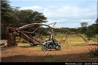 action_014_bmw_r_1200_gs_2013.jpg
