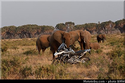 action_063_bmw_r_1200_gs_2013.jpg