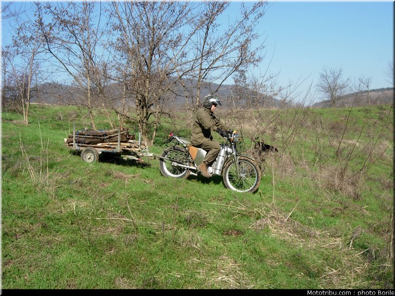 borile_alpestre_2007_3