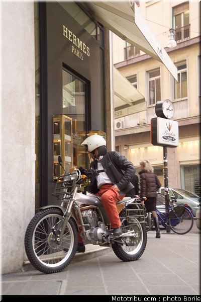 borile_alpestre_2007_4