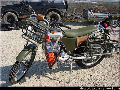 borile_alpestre_2007_1.JPG