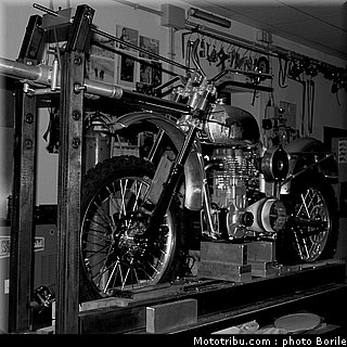 borile_scrambler_b500_ricky_2011_07.jpg