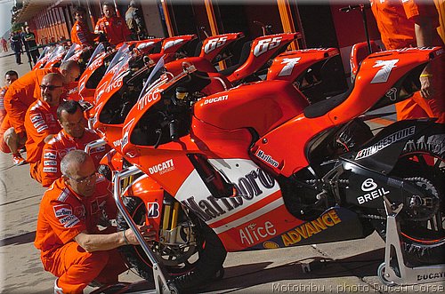 ducati_gp5_2005_011.jpg