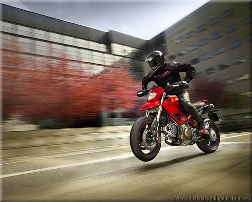 ducati_hypermotard_2008_001.jpg