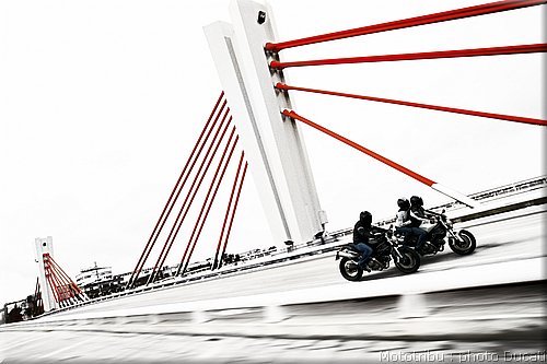 ducati_monster2008_13.jpg
