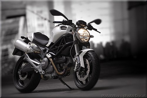 ducati_monster2008_14.jpg