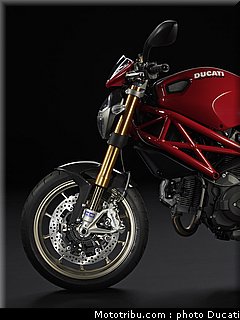 ducati_monster_1100abs_2010_3.jpg
