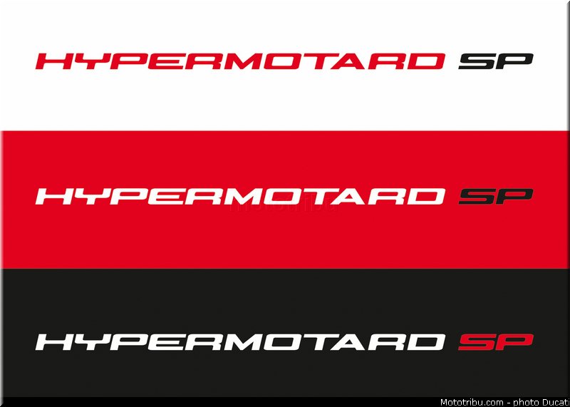 0176_ducati_2013_hypermotard_logo_1
