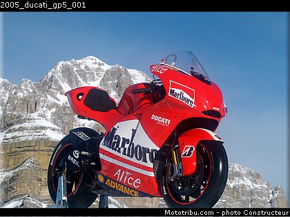 2005_ducati_gp5_001.jpg