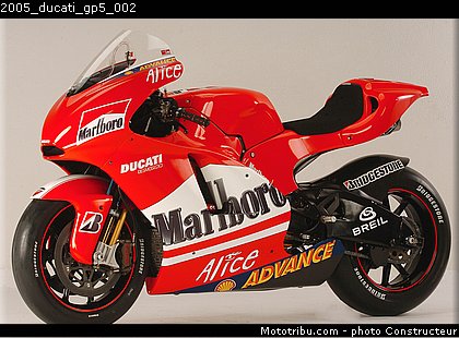 2005_ducati_gp5_002.jpg