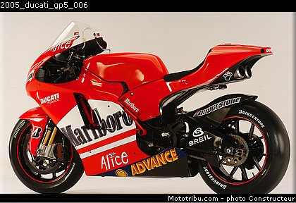 2005_ducati_gp5_006.jpg