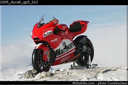 2005_ducati_gp5_012.jpg