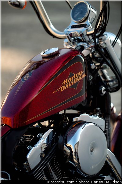 xl1200v_02_harley_davidson_sporster_2012