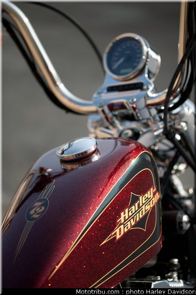 xl1200v_03_harley_davidson_sporster_2012