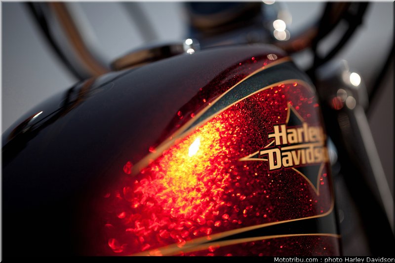 xl1200v_05_harley_davidson_sporster_2012