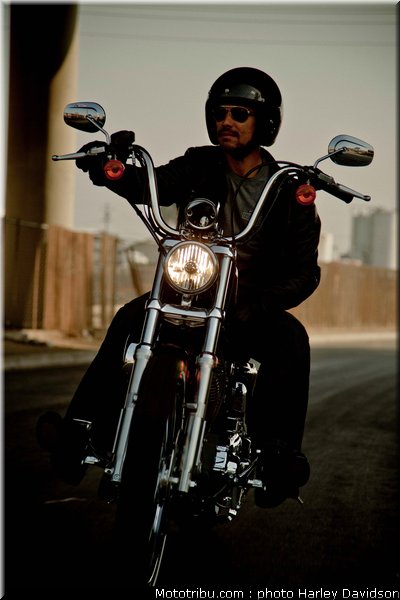 xl1200v_10_harley_davidson_sporster_2012
