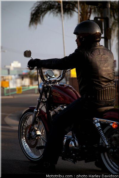 xl1200v_15_harley_davidson_sporster_2012