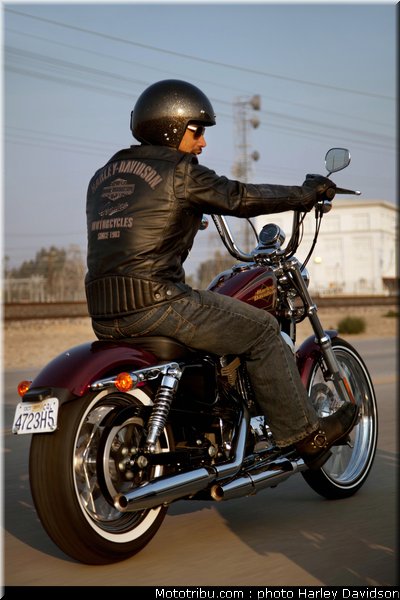 xl1200v_17_harley_davidson_sporster_2012