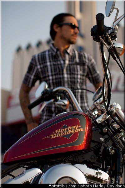 xl1200v_29_harley_davidson_sporster_2012