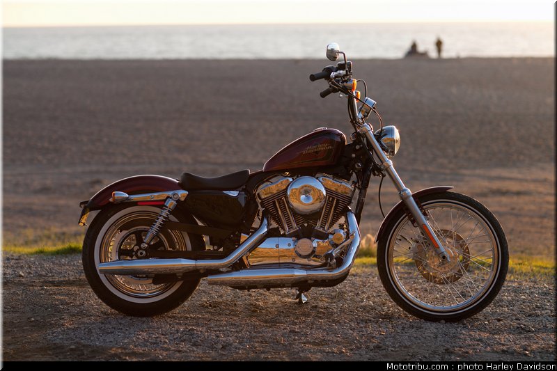 xl1200v_34_harley_davidson_sporster_2012