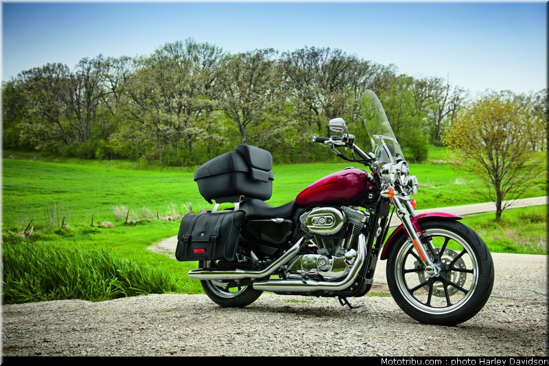 xl883l_superlow_08_harley_davidson_sporster_2012