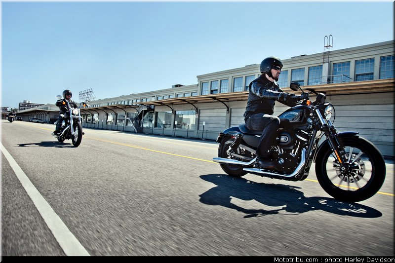 xl883n_iron_883_09_harley_davidson_sporster_2012