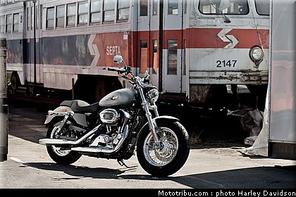 xl1200_c_sportster_1200_custom_01_harley_davidson_sporster_2012.jpg