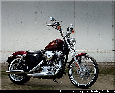 xl1200v_01_harley_davidson_sporster_2012.jpg