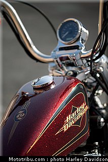 xl1200v_03_harley_davidson_sporster_2012.jpg