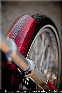 xl1200v_04_harley_davidson_sporster_2012.jpg