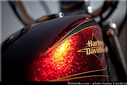 xl1200v_05_harley_davidson_sporster_2012.jpg