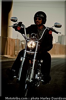 xl1200v_10_harley_davidson_sporster_2012.jpg