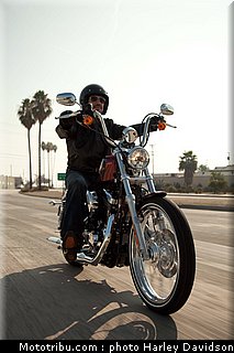 xl1200v_11_harley_davidson_sporster_2012.jpg