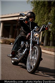 xl1200v_13_harley_davidson_sporster_2012.jpg