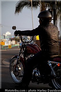 xl1200v_15_harley_davidson_sporster_2012.jpg