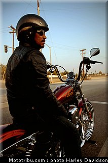 xl1200v_16_harley_davidson_sporster_2012.jpg
