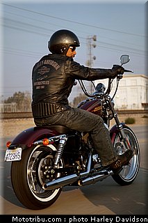 xl1200v_17_harley_davidson_sporster_2012.jpg