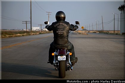 xl1200v_18_harley_davidson_sporster_2012.jpg