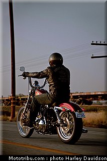 xl1200v_19_harley_davidson_sporster_2012.jpg