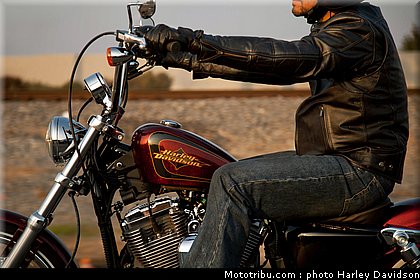 xl1200v_21_harley_davidson_sporster_2012.jpg