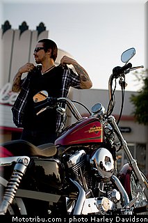 xl1200v_28_harley_davidson_sporster_2012.jpg