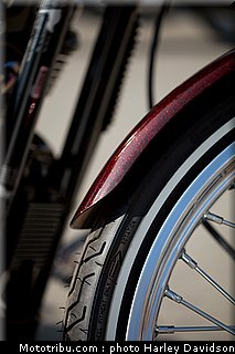 xl1200v_36_harley_davidson_sporster_2012.jpg