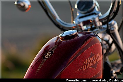 xl1200v_37_harley_davidson_sporster_2012.jpg